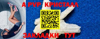 СК Камень-на-Оби