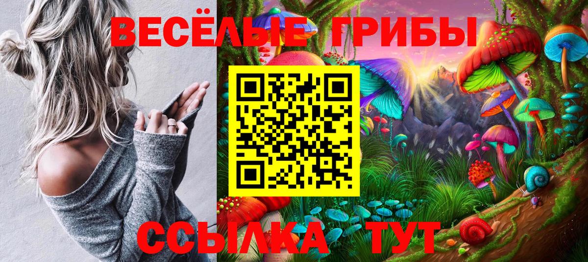 Галлюциногенные грибы Psilocybine cubensis Брянск