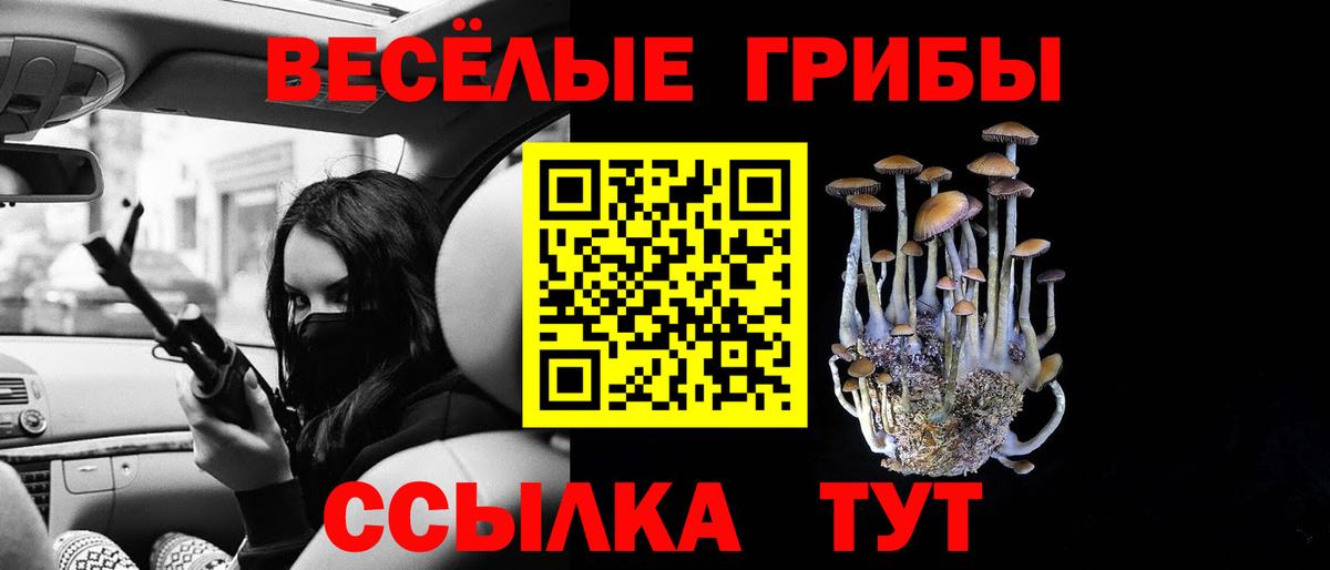 Псилоцибиновые грибы мицелий  Псилоцибиновые грибы MAGIC MUSHROOMS  Вход с VPN  Брянск 